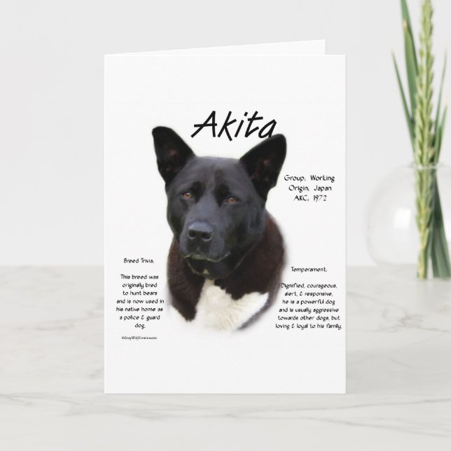 Black Akita History Design Holiday Card (Front)