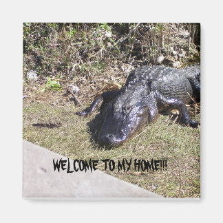 Black Alligator Welcomes You to His Home Magnet