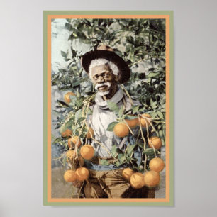 Black America Vintage Nan in Orange Grove Poster
