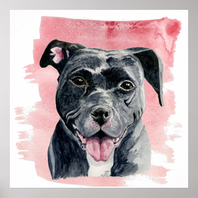 Black American Bulldog Watercolor Painting Poster (Front)