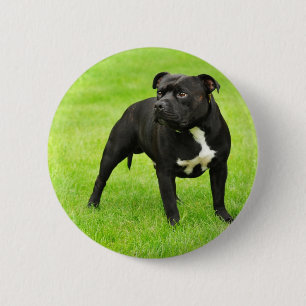 Black Amstaff 6 Cm Round Badge