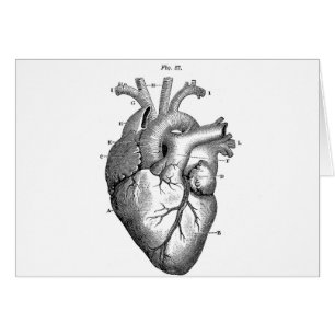 Black Anatomical Heart