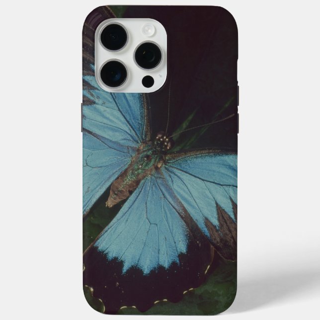 Black and blue butterfly Case-Mate iPhone case (Back)