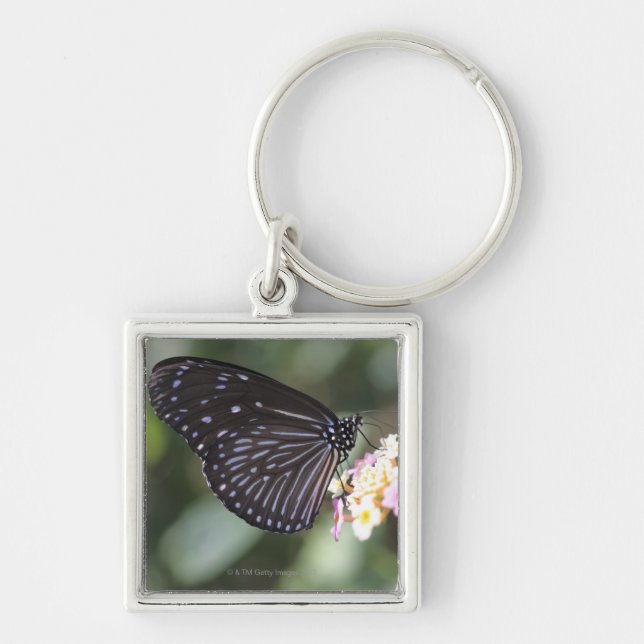 Black and blue butterfly on flower key ring (Front)