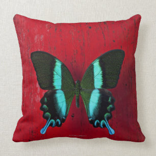 Black and blue butterfly on red wall cushion