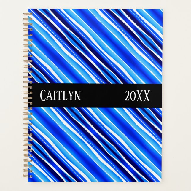 Black and Blue Painted Stripes Planner (Front)