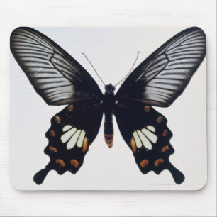 Black and brown butterfly mouse pad