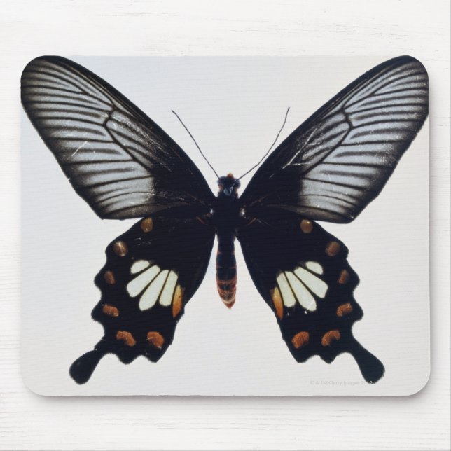 Black and brown butterfly mouse pad (Front)