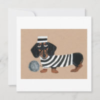 Black and Brown Dachshund Treat Thief Jailbird
