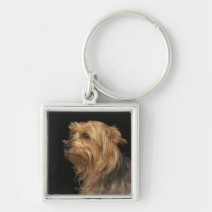 Black and brown Yorkie left profile on black Key Ring