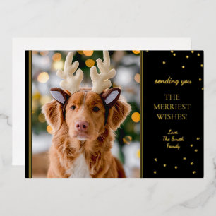 Black and Gold Foil Star Holiday Photo