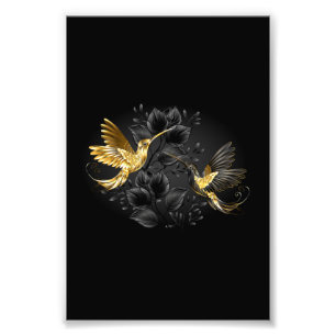 Black and Gold Hummingbird Photo Print
