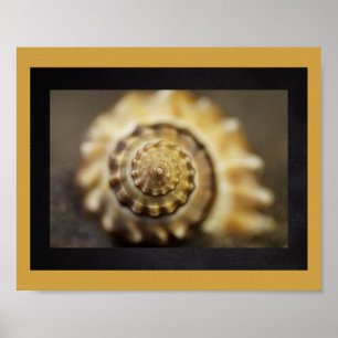Black and Gold Seashell Tropical Printable Art  Poster