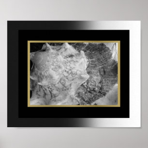 Black and Gold Tropical Seashell Printable Art  Poster