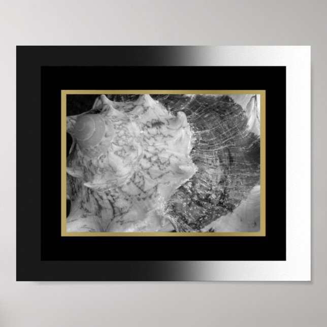 Black and Gold Tropical Seashell Printable Art  Poster (Front)