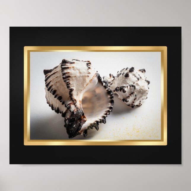 Black and Gold Tropical Seashell Printable Art  Poster (Front)