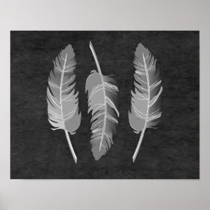 Black and Gray Feathers on a ChalkBoard Poster