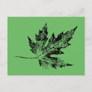 "Black and Green Maple" Country Roads Postcard