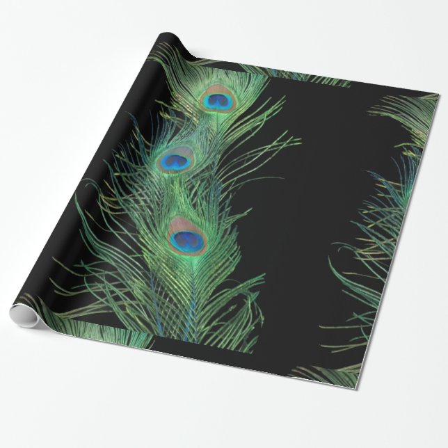 Black and Green Peacock Feathers Wrapping Paper (Unrolled)