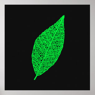Black and Green Skeleton Leaf line art Poster
