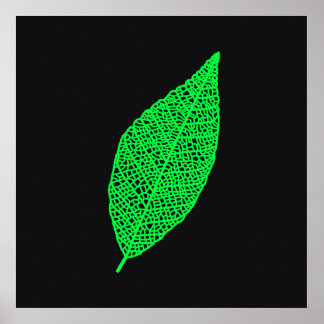 Black and Green Skeleton Leaf line art Poster