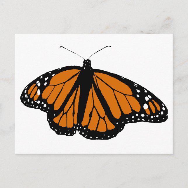 Black and Orange Monarch Butterfly Postcard (Front)