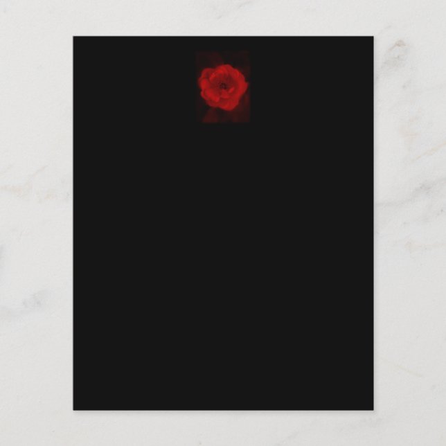 Black and Red Rose. (Front)