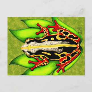 Black and Red Tree Frog Postcard