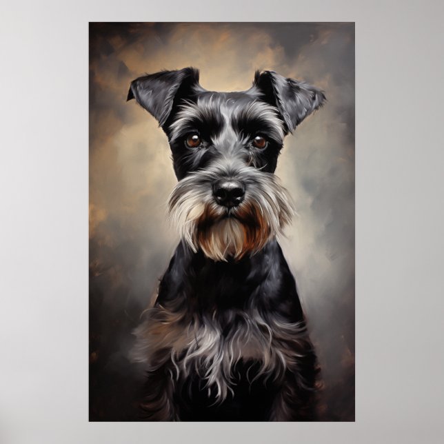 Black and silver Miniature Schnauzer  Poster (Front)