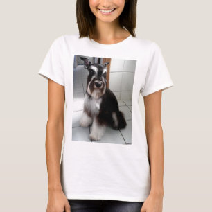 Black-and-silver_miniature_schnauzer sitting T-Shirt