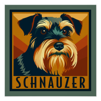 Black and Silver Schnauzer Retro Portrait Poster