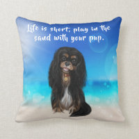 Black and Tan Cavalier King Charles Spaniel   