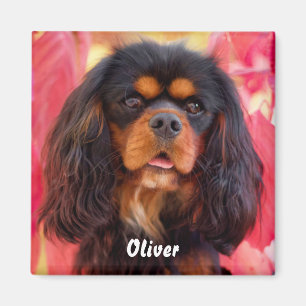 Black and Tan Cavalier King Charles Spaniel Dog Magnet