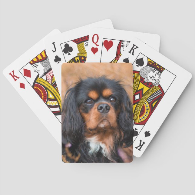 Black and Tan Cavalier King Charles Spaniel Dog Playing Cards (Back)
