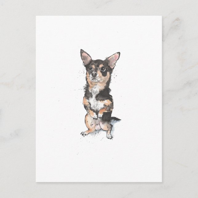  Black and Tan Chihuahua Cute funny dog Postcard (Front)