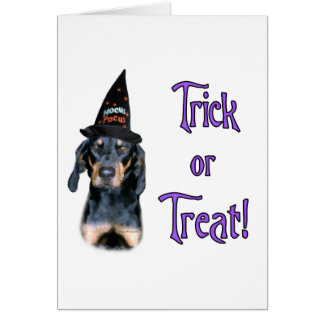 Black and Tan Coonhound Trick