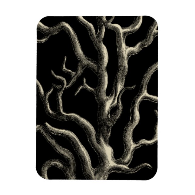 Black and Tan Coral Magnet (Vertical)