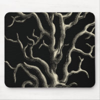 Black and Tan Coral