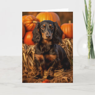Black and Tan Dachshund Thanksgiving Holiday Card