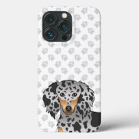 Black And Tan Dapple Long Hair Dachshund & Paws