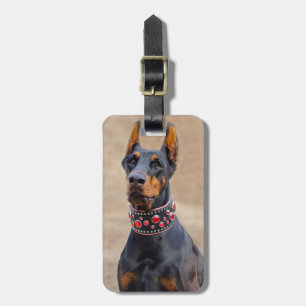 Black and Tan Doberman Pinscher in Jewelled collar Luggage Tag