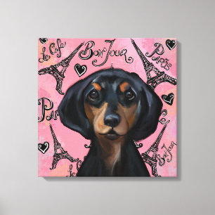 Black and Tan Doxie Canvas Print