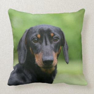 Black and Tan Miniture Dachshund 1 Cushion