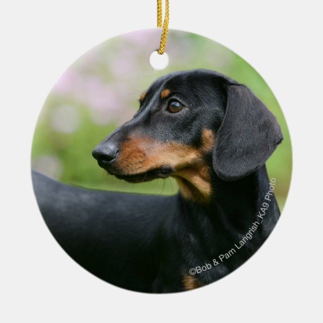 Black and Tan Miniture Dachshund 2 Ceramic Tree Decoration (Front)