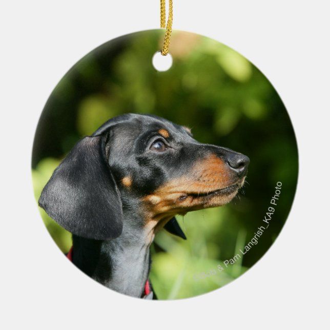 Black and Tan Miniture Dachshund 3 Ceramic Tree Decoration (Front)
