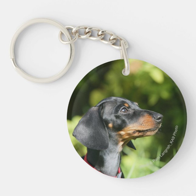 Black and Tan Miniture Dachshund 3 Key Ring (Front)