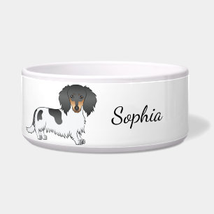Black And Tan Piebald Long Hair Dachshund & Name