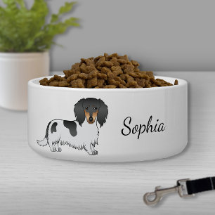 Black And Tan Piebald Long Hair Dachshund & Name