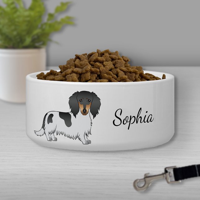 Black And Tan Piebald Long Hair Dachshund & Name (Creator Uploaded)