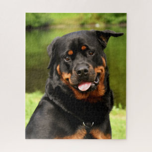 Black and Tan Rottweiler Puppy Dog Jigsaw Puzzle